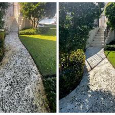 Coral Stone Cleaning 3