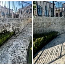 Coral Stone Cleaning 4