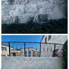 Coral Stone Cleaning 5