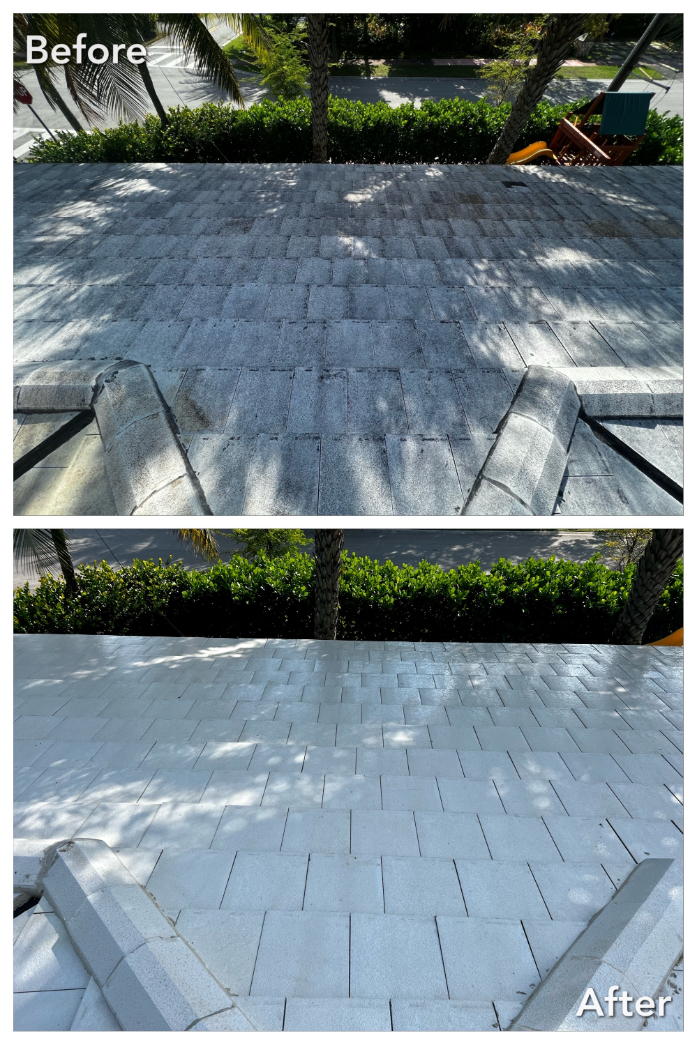 Roof cleaning