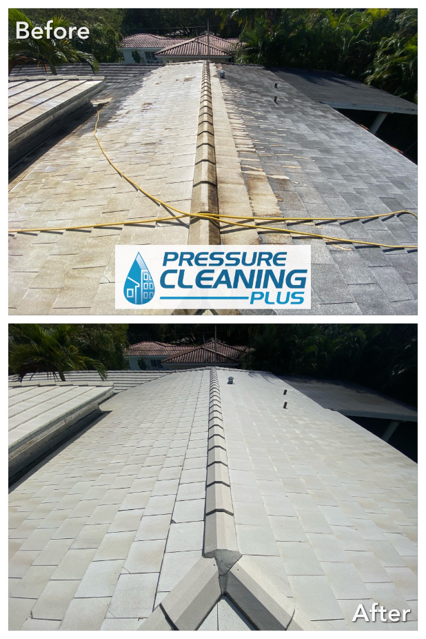 White roof cleaning
