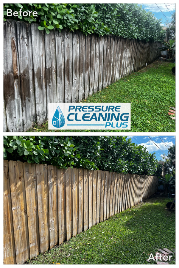 Wood fence cleaning